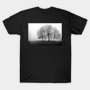 Silence in the grove T-Shirt